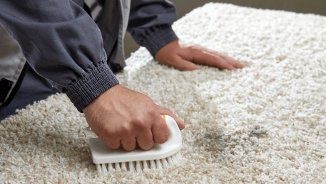 Professional Rug Cleaning Mentone